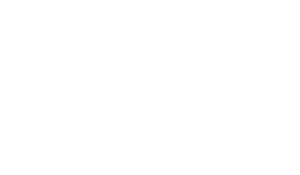 MICRON rifle silhouette