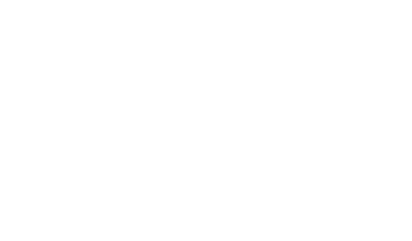 WLVRN rifle silhouette